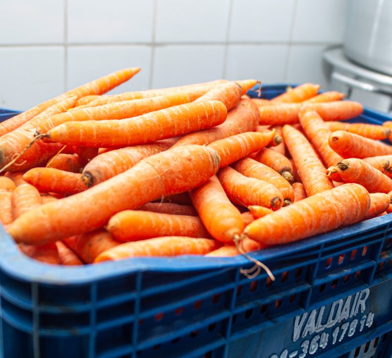 Prefeitura de Japeri realiza chamada pública para agricultores familiares locais