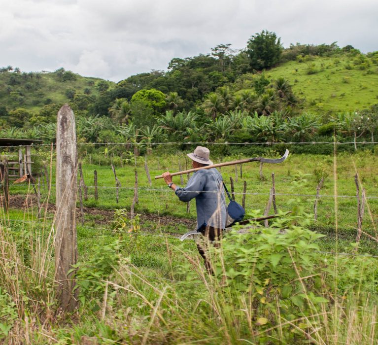 Secretaria Municipal de Agricultura e Pesca lança Projeto Mandiocultura