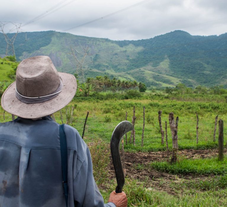 Secretaria Municipal de Agricultura e Pesca lança Projeto Mandiocultura