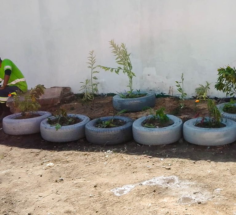 Do lixo ao jardim: parceira da Prefeitura de Japeri leva jardim comunitário à escola