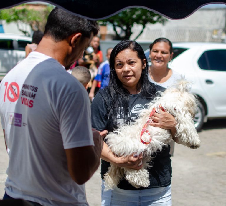 Japeri: veja onde vacinar cães e gatos contra a raiva neste sábado (24)
