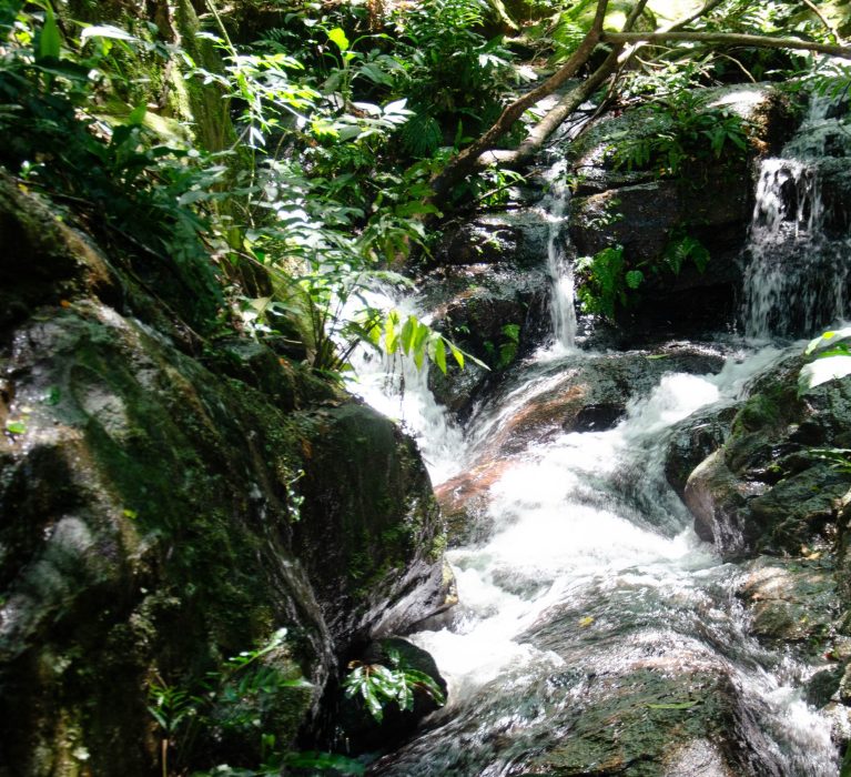 Dia Nacional do Turismo: os encantadores atrativos turísticos de Japeri