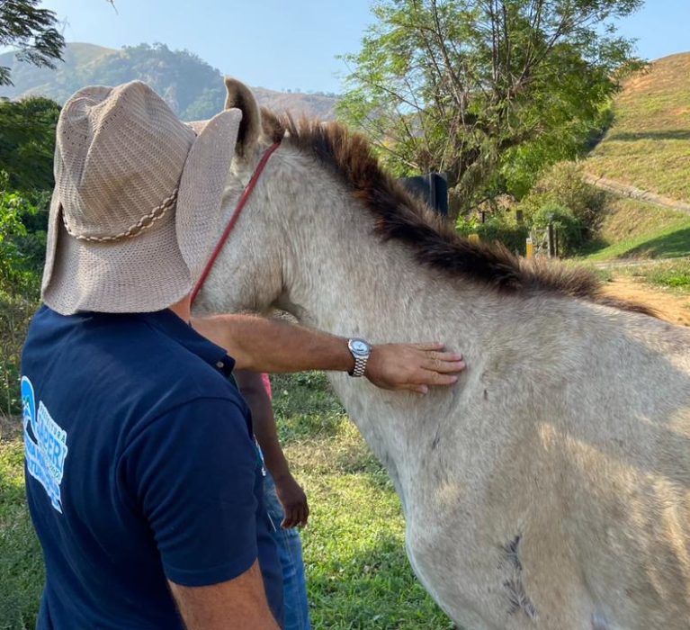 Prefeitura de Japeri promove mutirão para vacinar herbívoros contra a raiva
