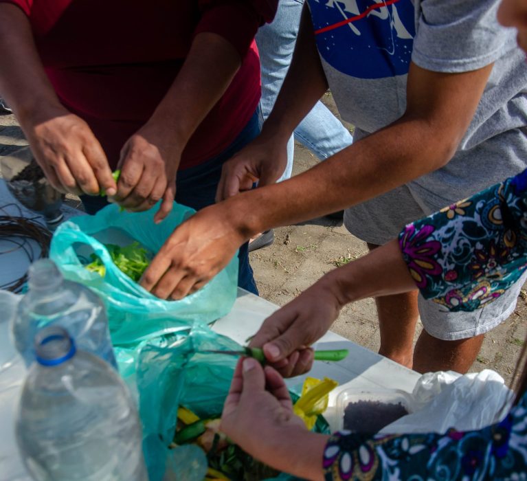 Prefeitura de Japeri promove ação ambiental com alunos da Escola Municipal Santos Dumont durante Semana do Meio Ambiente