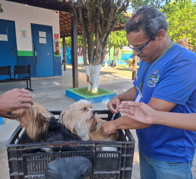 Japeri vacina mais de 9 mil cães e gatos contra a raiva em campanha municipal