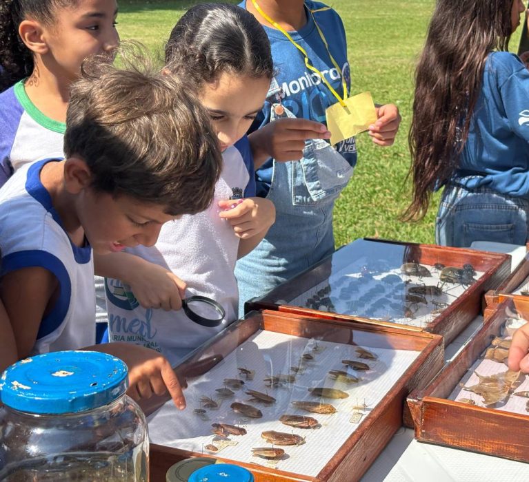 Alunos de Japeri vivenciam experiências ambientais na APA Pedra Lisa