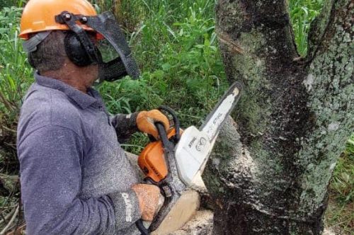 Capacitação inédita em operação de motosserra é concluída com foco em segurança e qualificação profissional em Japeri