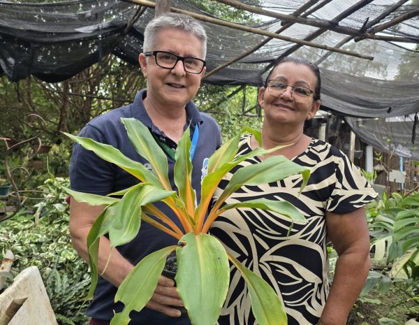 Cultivo de plantas ornamentais floresce como fonte de renda em Pedra Lisa, em Japeri