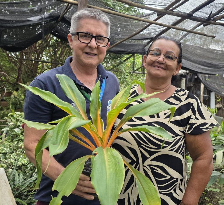 Cultivo de plantas ornamentais floresce como fonte de renda em Pedra Lisa, em Japeri